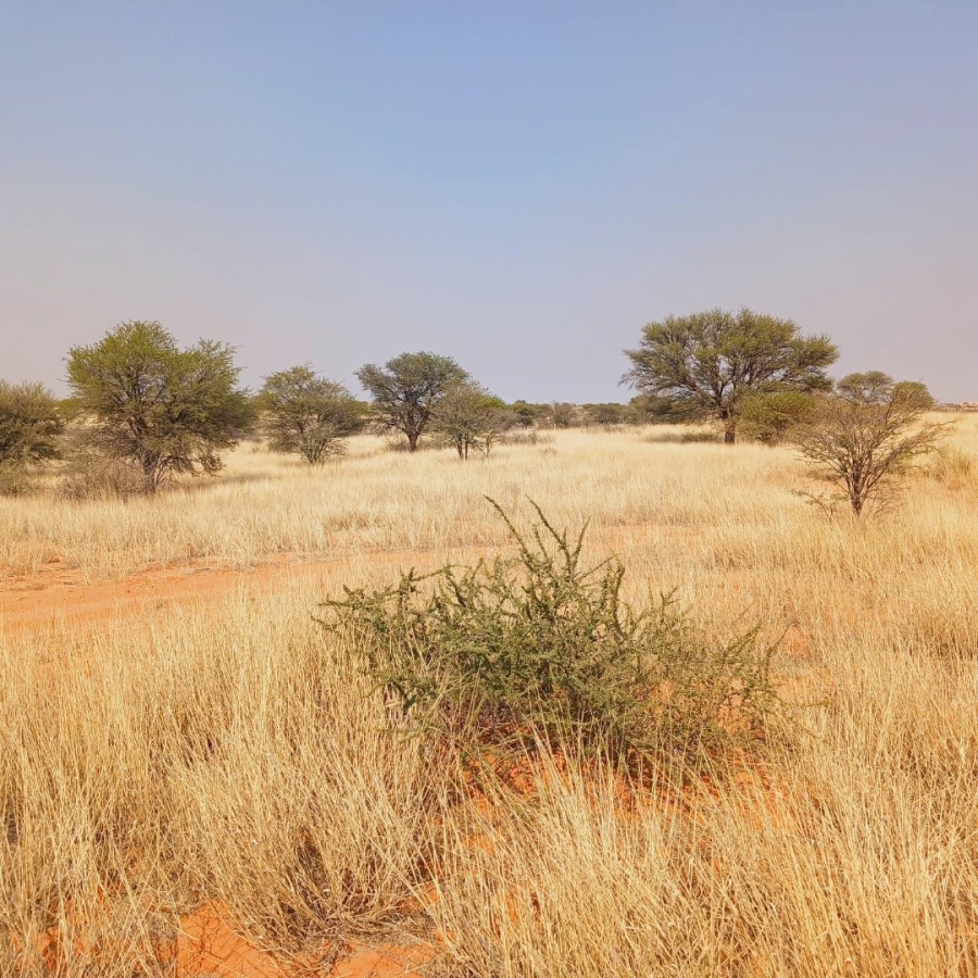 Commercial Property for Sale in Van Zylsrus Northern Cape